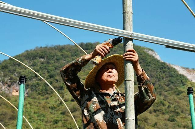 赤壁两山蔬菜种植基地：防冻棚搭建忙