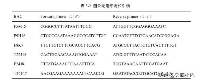 拟南芥DNA的提取、图位克隆以及大肠杆菌感受态的制备