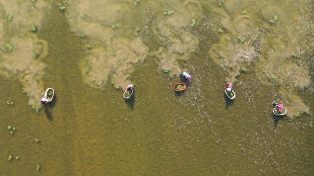 种药材不再违法！农民可靠这个方法解决耕地问题