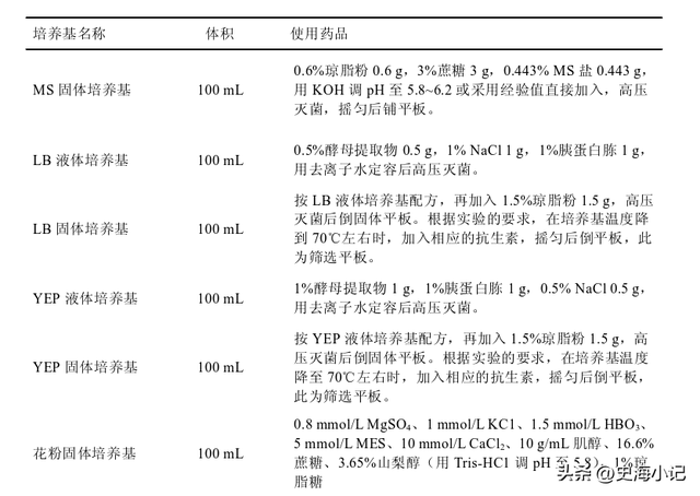 拟南芥DNA的提取、图位克隆以及大肠杆菌感受态的制备