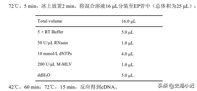 拟南芥DNA的提取、图位克隆以及大肠杆菌感受态的制备