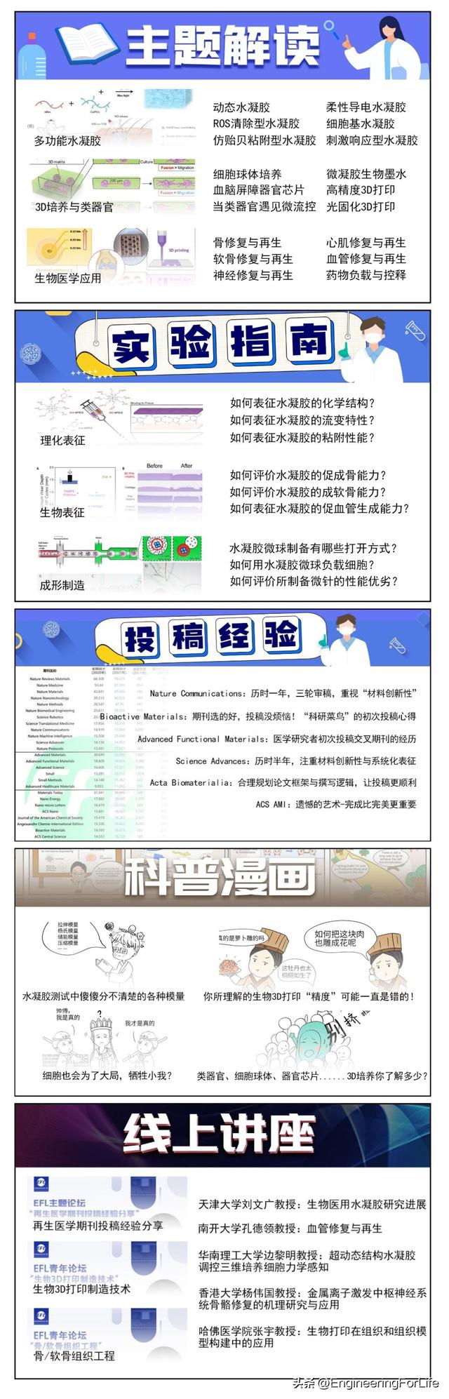 基质形貌如何影响hBMSCs的成骨分化？《ACS AMI》或许可以给你启发