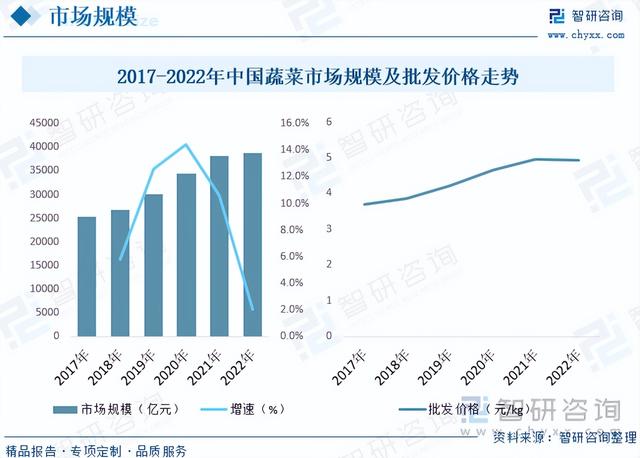 2023年中国蔬菜种植行业全景分析：种植面积与产量稳步抬升