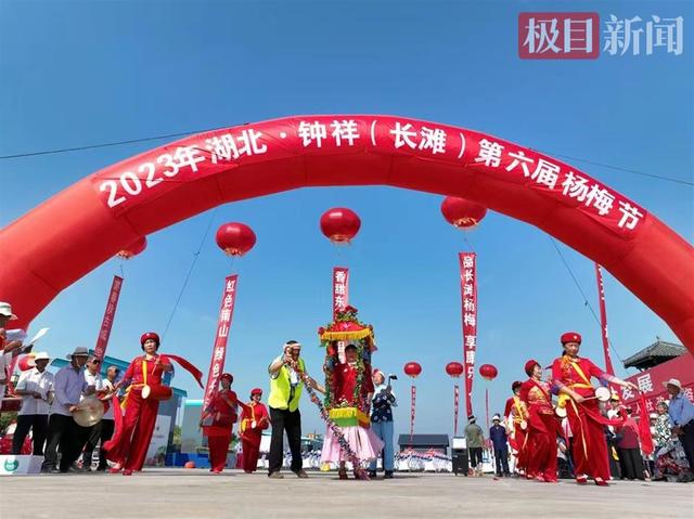 建成省内最大杨梅种植基地，钟祥长滩杨梅产业兴村民腰包鼓