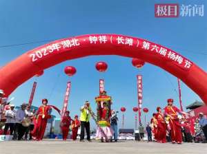 杨梅适合那些地方种植(建成省内最大杨梅种植基地，钟祥长滩杨梅产业兴村民腰包鼓)