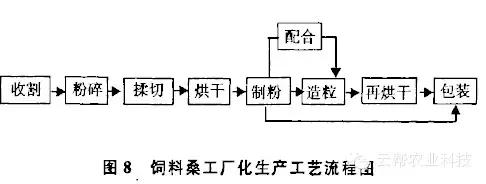 蛋白桑：蛋白桑特性研究与加工利用分析