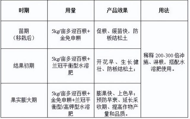 ​越冬茬番茄水肥有讲究，牢记这几点，提质又增产