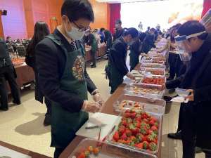 上海草莓种植(红颜、申琪、淡雪、雪兔……上海草莓正当季这些品种你见过吗？)