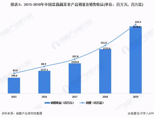 2020年中国盆栽蔬菜行业市场现状及发展趋势分析