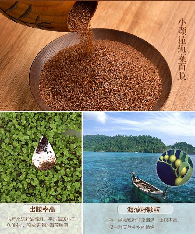 揭短：水草种子，请不要再坑草缸新手