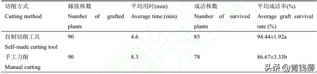 油用牡丹嫁接方法