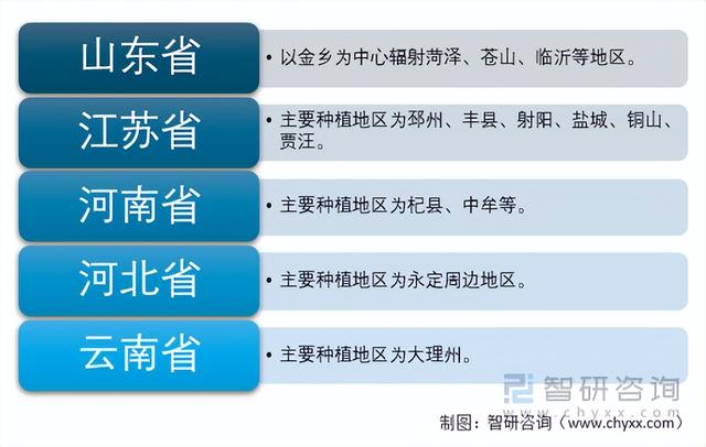 2021年中国大蒜种植面积、产量、进出口及交易量分析「图」