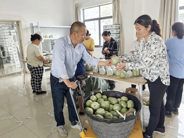 揭牌了！获评市级“生物育种示范基地”