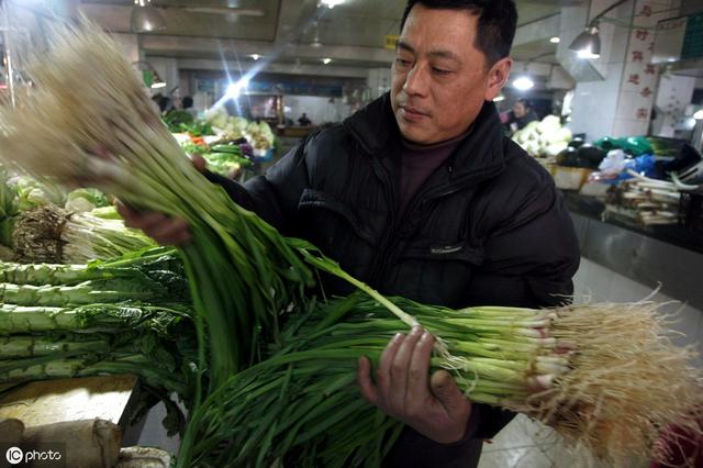 大蒜要高产，种植密度关你把握住了吗？