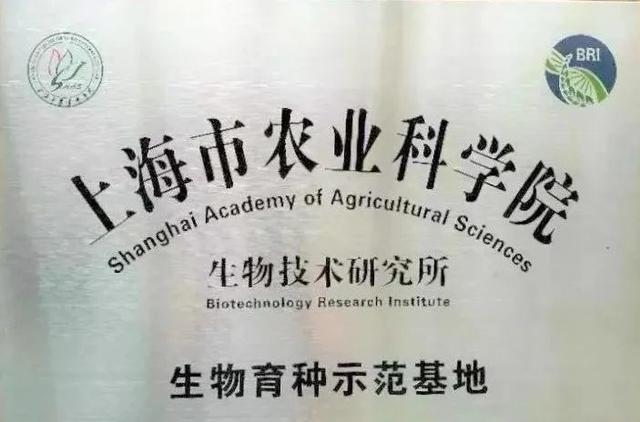 揭牌了！获评市级“生物育种示范基地”