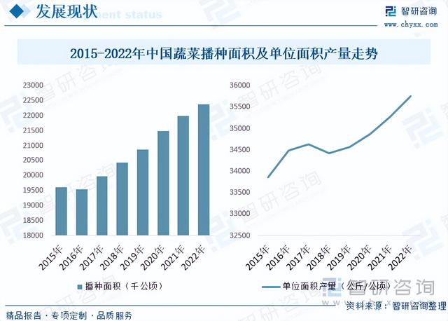 2023年中国蔬菜种植行业全景分析：种植面积与产量稳步抬升