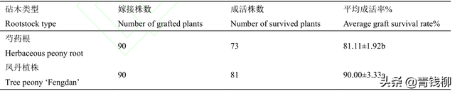 油用牡丹嫁接方法