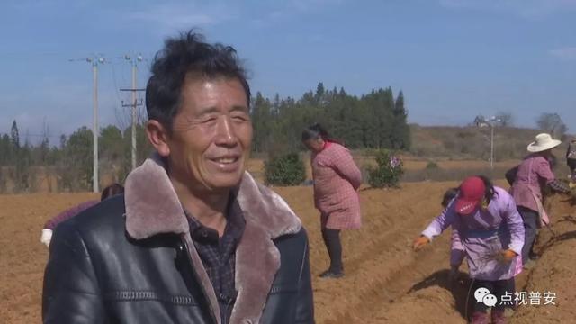 青山镇：新年种下新希望 年末采收“致富果”