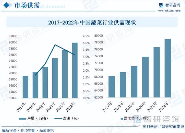 2023年中国蔬菜种植行业全景分析：种植面积与产量稳步抬升