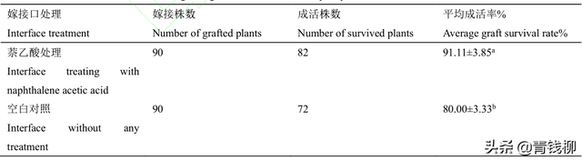 油用牡丹嫁接方法