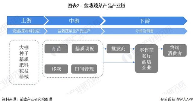 2020年中国盆栽蔬菜行业市场现状及发展趋势分析