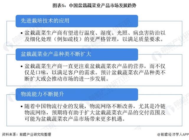 2020年中国盆栽蔬菜行业市场现状及发展趋势分析