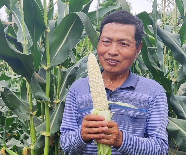 揭牌了！获评市级“生物育种示范基地”