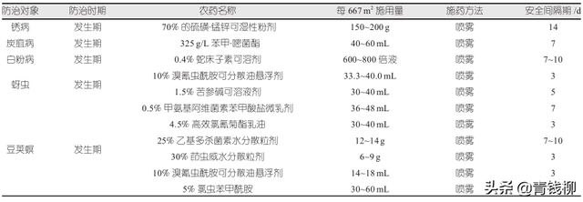 绿色食品豇豆栽培技术