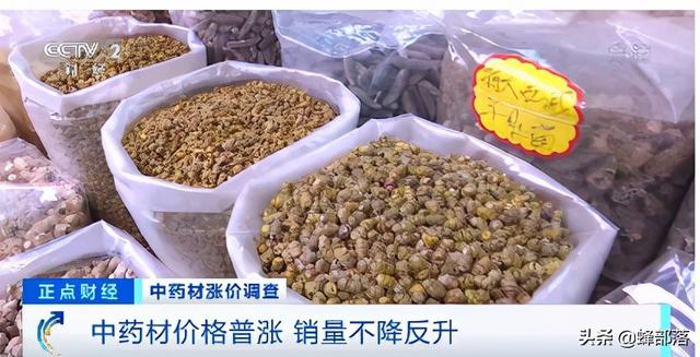 超90%中药材涨价，2022年种植中药材迎来新风口？看业内人士咋说