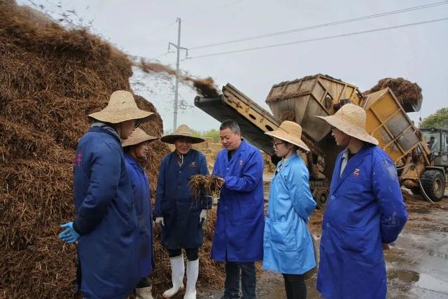 浙江人在上海种蘑菇，种成了全国劳模