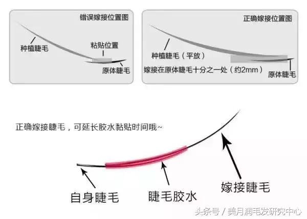 种睫毛几乎掉光！这些睫毛嫁接危害你该知道