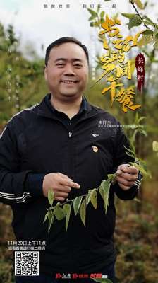 山胡椒种植前景(《书记的乡间午餐》20日走进新化长峰村 品山胡椒林里的浓郁醇香)