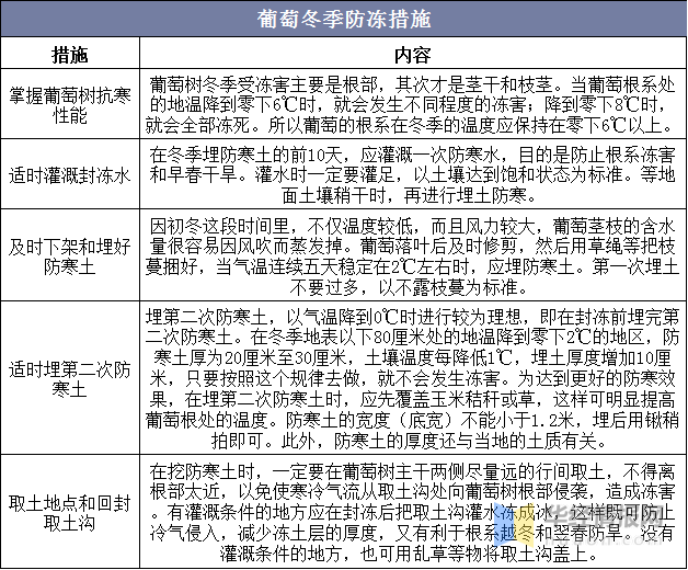 2020年中国葡萄产量及进出口情况分析，冬季防冻尤为重要