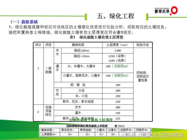 CJJ 82-2012园林绿化工程施工及验收规范-图片版