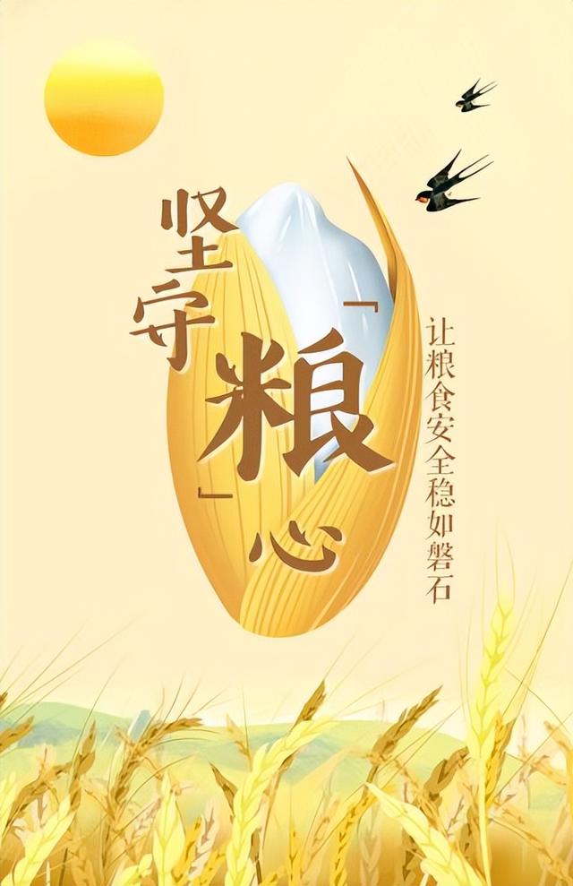 新形势下的农业发展：粮食安全与绿色发展齐头并进