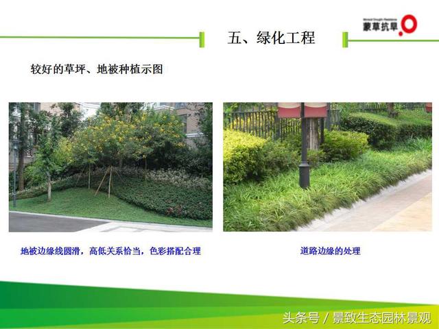 CJJ 82-2012园林绿化工程施工及验收规范-图片版