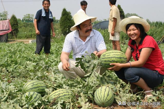 能重茬和不能重茬的作物有哪些？作物重茬烂根死棵现象怎么防治？