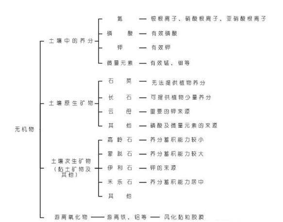 种柑人必看！柑橘种植技术千万条，土壤改良第一条