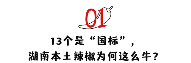 13个“国标”，湖南本土辣椒为何这么牛？