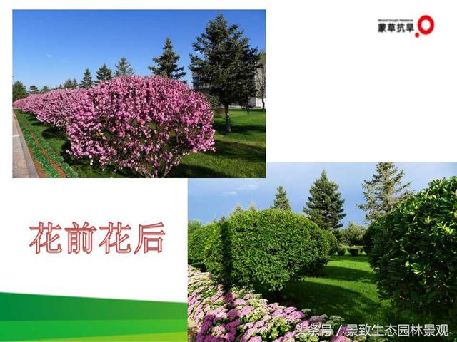 CJJ 82-2012园林绿化工程施工及验收规范-图片版