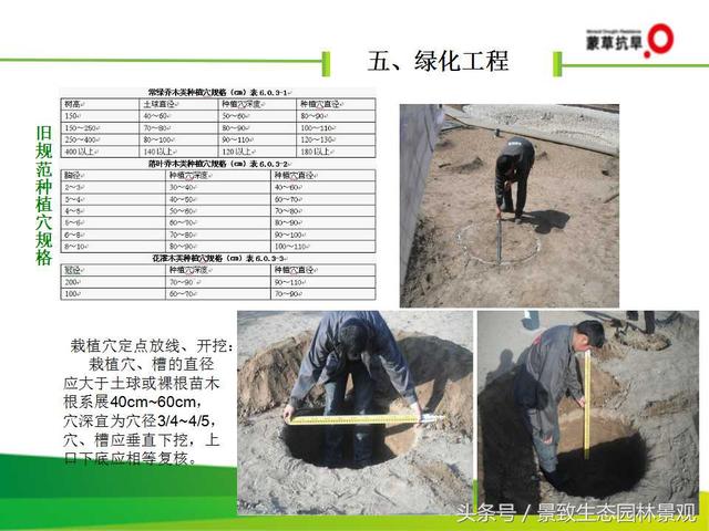 CJJ 82-2012园林绿化工程施工及验收规范-图片版