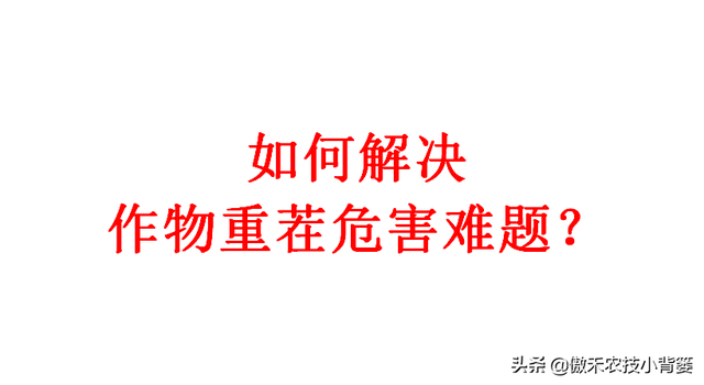 能重茬和不能重茬的作物有哪些？作物重茬烂根死棵现象怎么防治？