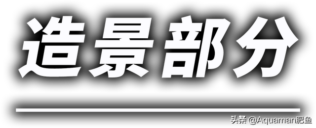 如何低成本又装13的开一个水草缸