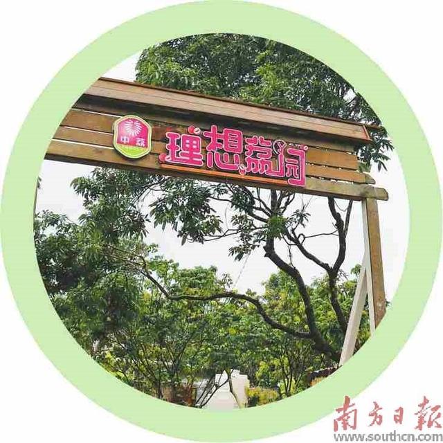 建设美丽圩镇 打造特色农业