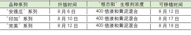 万寿菊盆栽繁殖及病虫害防治栽培技术