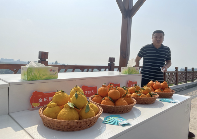 不知火、春见粑粑柑……丹棱桔橙走入深圳高端果品市场