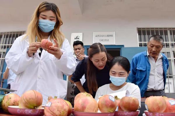 洛阳孟津常袋：3000亩软籽石榴成熟，成群众“致富果”