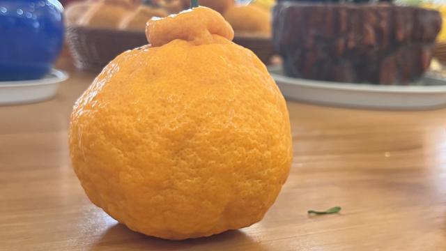 不知火、春见粑粑柑……丹棱桔橙走入深圳高端果品市场