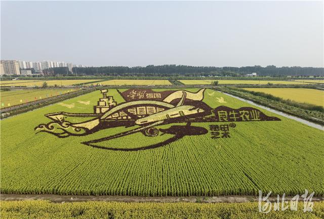 看，金秋的收获！河北各地共庆丰收节