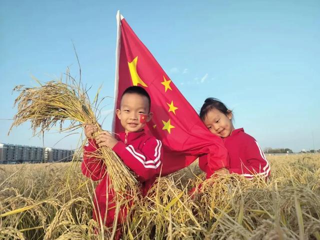 八五六农场、分公司：【丰年好“丰”景】订单种植让百姓有赚头